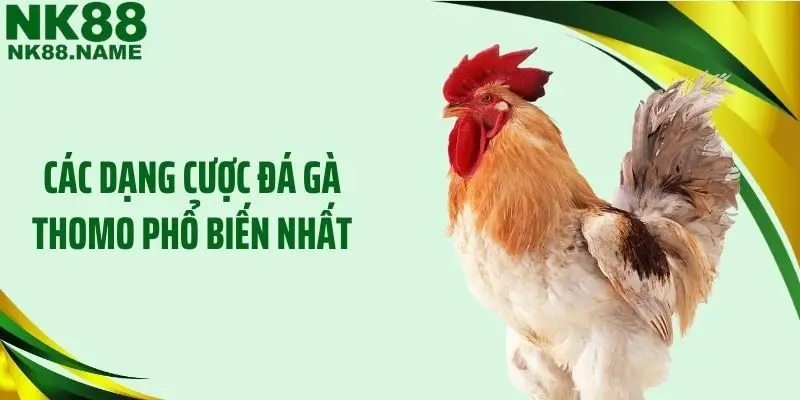 Các dạng cược đá gà Thomo phổ biến nhất