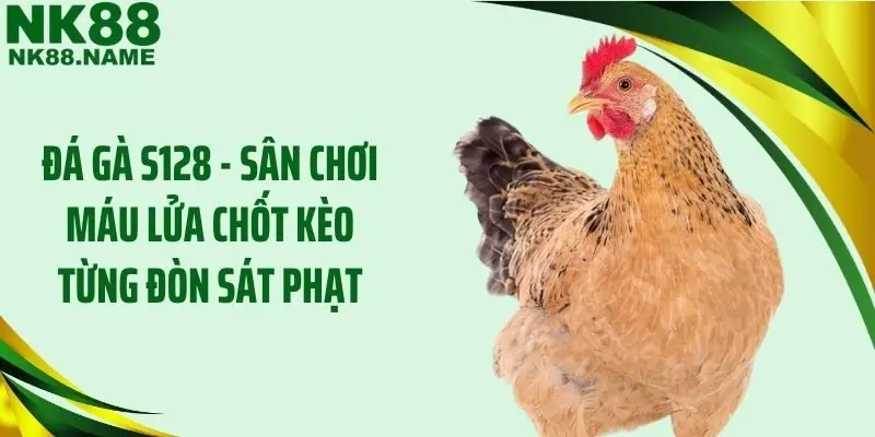 Đá Gà S128 - Sân Chơi Máu Lửa Chốt Kèo Từng Đòn Sát Phạt